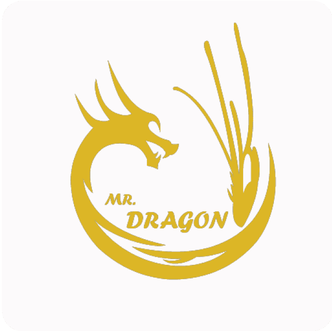 Mr Dragon